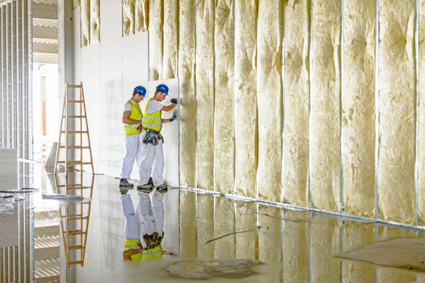 Best Soundproof Insulation  in Kenbridge, VA